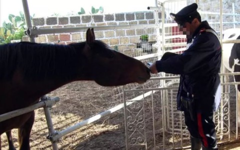 Cavallo ‘dopato’ con bicarbonato, allenatore a processo a Bologna