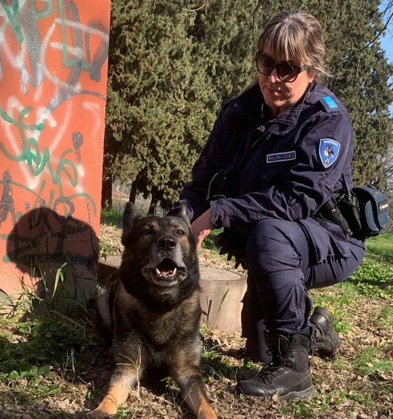 Il cane Grey scova 33 dosi di cocaina nel parco Lunetta Mariotti