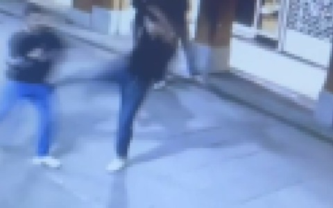 Lite in via de’ Falegnami, distrutte alcune fioriere