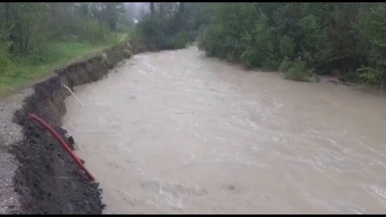 Cia conferma Notari e Bergami ai vertici