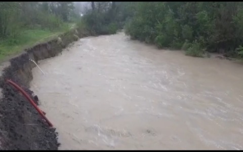 Cia conferma Notari e Bergami ai vertici