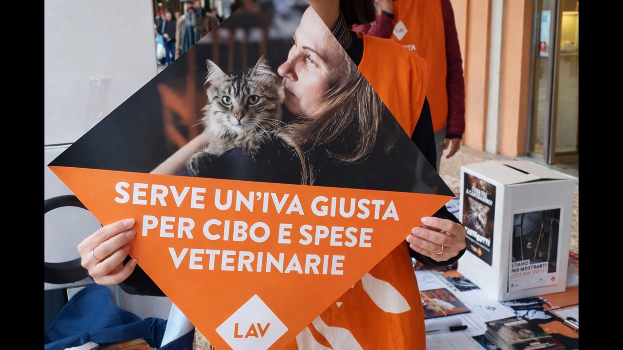 Abbassare l’Iva su cibo per animali e spese veterinarie, lo chiede la LAV
