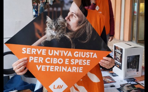 Abbassare l’Iva su cibo per animali e spese veterinarie, lo chiede la LAV