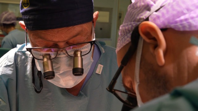 Le Fondazioni Golinelli e Rizzoli uniscono le loro forze per la ricerca