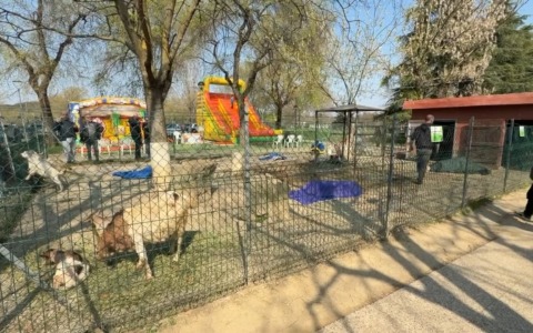 Parco delle Caprette a San Lazzaro di Savena: uccisi quattro animali. “E’ stato un attacco di lupi”