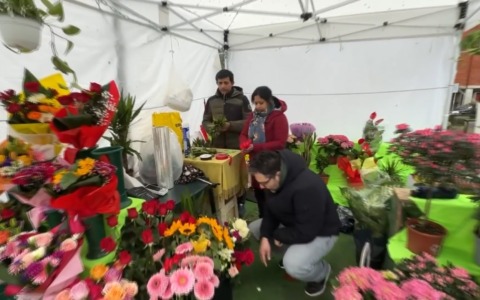 Una raccolta fondi per fare ‘rifiorire’ il chiosco di via Dagnini distrutto da un incendio