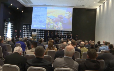 Confcooperative: 500 imprese, 16 miliardi di fatturato. ‘Oggi panorama incerto per guerre e dazi’