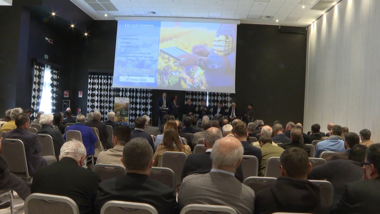 Confcooperative: 500 imprese, 16 miliardi di fatturato. ‘Oggi panorama incerto per guerre e dazi’