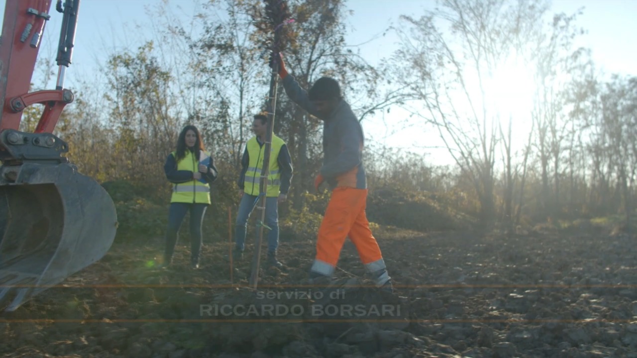 All’aeroporto Marconi di Bologna il primo bosco certificato Fsc per la cattura del carbonio