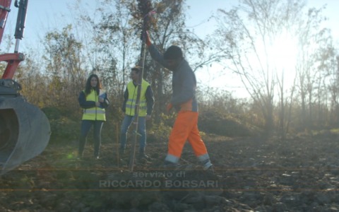 All’aeroporto Marconi di Bologna il primo bosco certificato Fsc per la cattura del carbonio