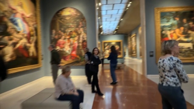 Mete culturali in città, in tanti hanno scelto la Pinacoteca di Bologna