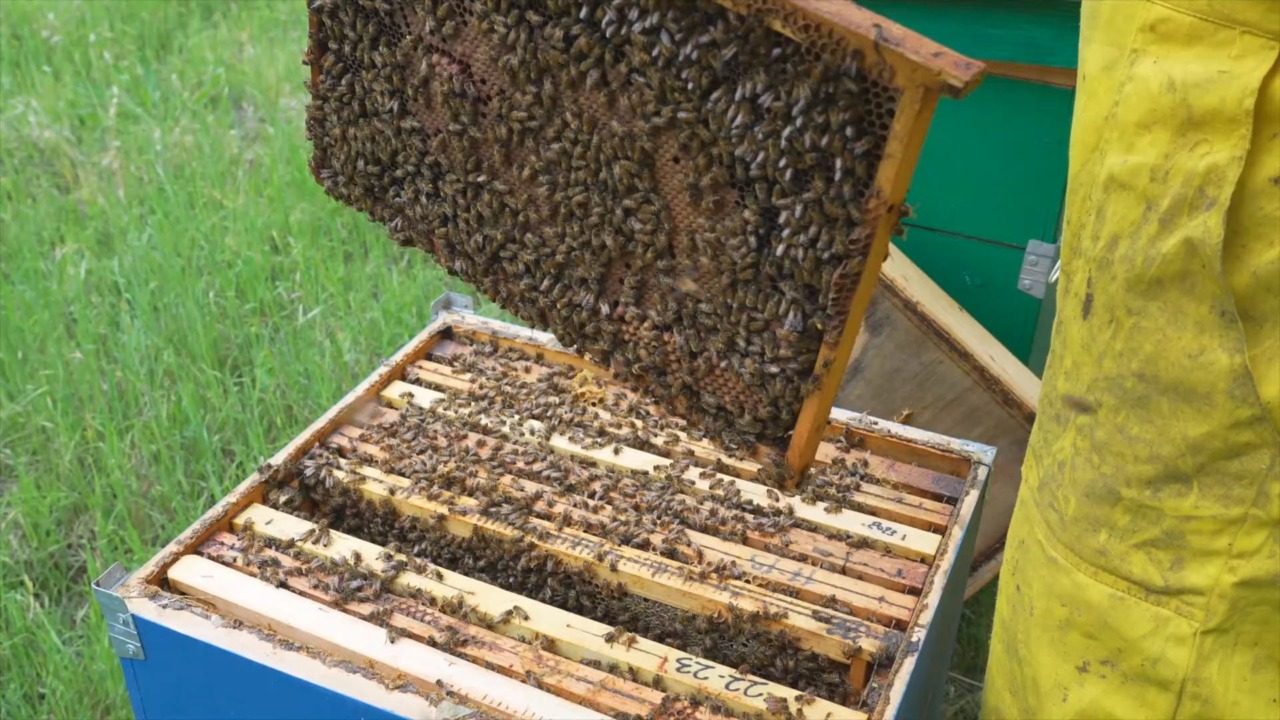 Agricoltura: l’Assemblea Legislativa approva la nuova legge