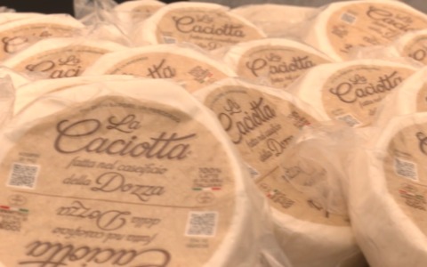 Nasce il caseificio nel carcere della Dozza di Bologna, i detenuti fanno le caciotte