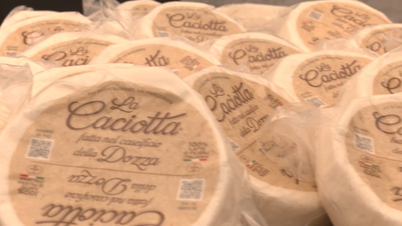 Nasce il caseificio nel carcere della Dozza di Bologna, i detenuti fanno le caciotte