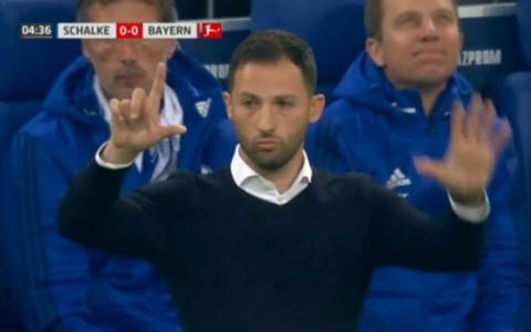 Da Italiano a Tedesco, il Bologna calcio ha scelto il nuovo allenatore