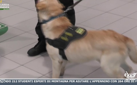 èTG –  Edizione Giorno 11/05/2026