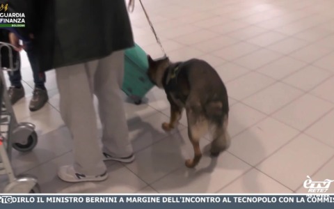 èTG –  Edizione Sera 11/05/2026