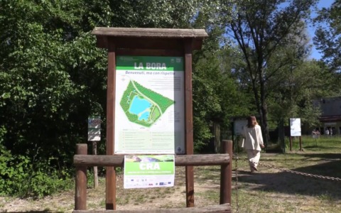 Tutti uniti per salvare la testuggine e difendere la biodiversità