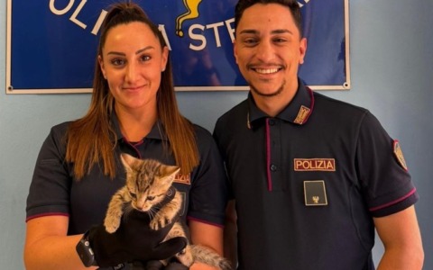La polizia stradale di Altedo ha salvato un cucciolo di gatto che si era smarrito in A13