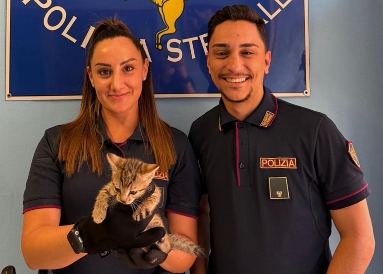 La polizia stradale di Altedo ha salvato un cucciolo di gatto che si era smarrito in A13