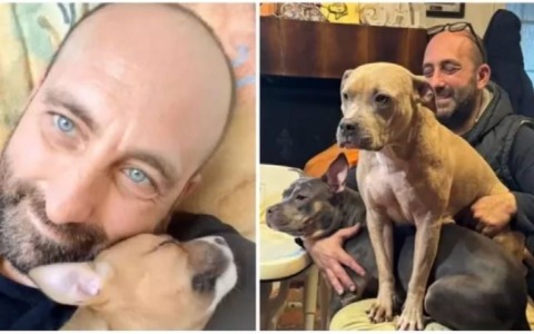 Padrone di 16 cani muore improvvisamente: ora sono adottabili
