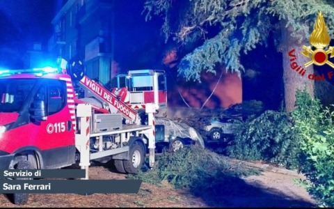 Maltempo nel Bolognese, alberi caduti e tetti pericolanti: 400 interventi dei vigili del fuoco