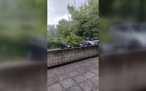 Maltempo: forte vento e pioggia nel Bolognese, quaranta interventi dei vigili del fuoco