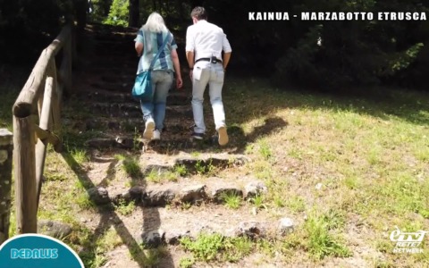 Dedalus –  Puntata del 18/06/2026