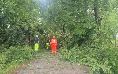 Maltempo, alberi caduti per il vento: famiglia bloccata fra Castello d’Argile e San Giorgio di Piano