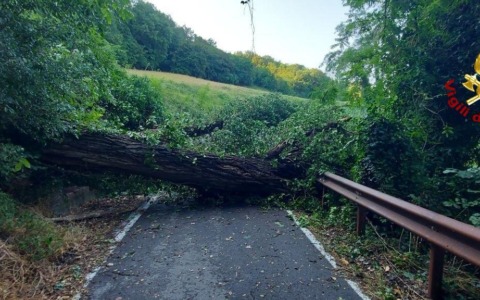 In via di Ravone un grosso albero ha bloccato l’accesso alle case. Isolato un centinaio di persone