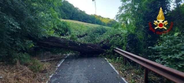 MIn Via di Ravone un grosso albero ha bloccato l’accesso alle case. Isolato un centinaio di persone