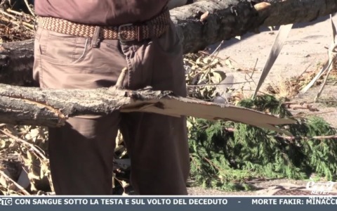 èTG –  Edizione Sera 25/07/2026