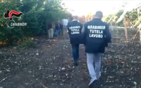 Blitz dei Carabinieri nei campi del Bolognese: braccianti in nero e anche irregolari