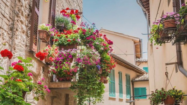 A Monghidoro torna ‘Balconi Fioriti’, il concorso che valorizza il territorio e ne migliora l’accoglienza