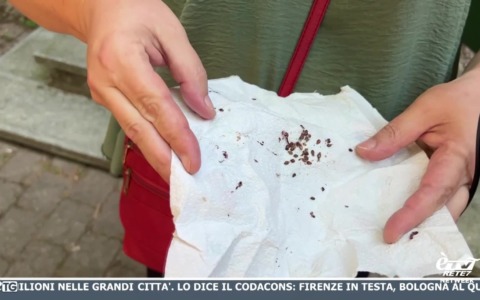 èTG –  Edizione Sera 12/07/2026