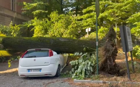 Tempesta di vento e pioggia sul Bolognese, le immagini e la conta dei danni
