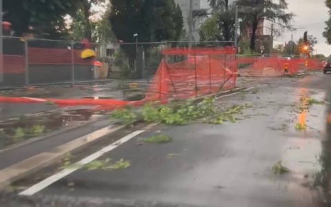 Maltempo, il bilancio a Bologna: oltre 300 alberi caduti. Via libera agli aventi ai Giardini Margherita e alle Caserme Rosse
