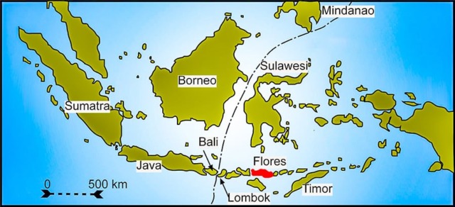 I 13 turisti bolognesi bloccati in Indonesia hanno lasciato l’isola di Flores