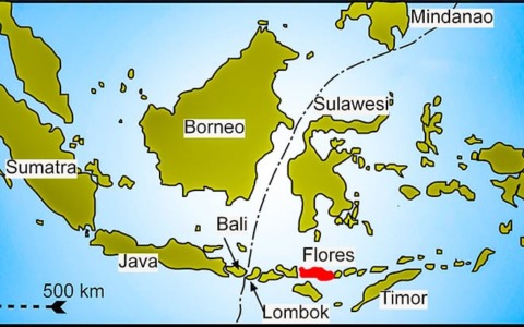 Gruppo di tredici turisti bolognesi bloccato nell’isola di Flores, in Indonesia, a causa del sisma. Sono salvi
