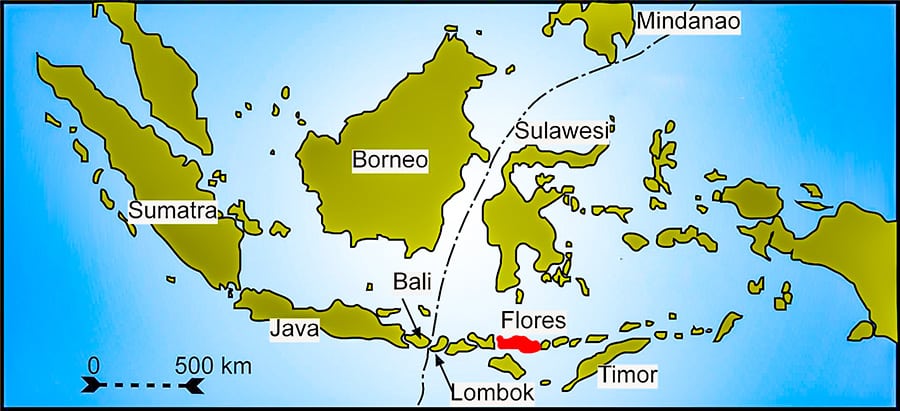 Gruppo di tredici turisti bolognesi bloccato nell’isola di Flores, in Indonesia, a causa del sisma. Sono salvi