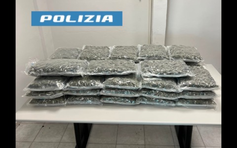 In giro con 50 kg di droga, arrestato dalla polstrada di Altedo