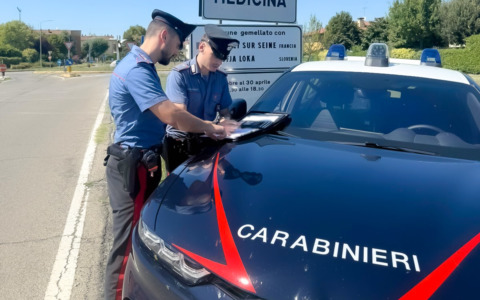 Giardiniere ferito in un incidente sul lavoro