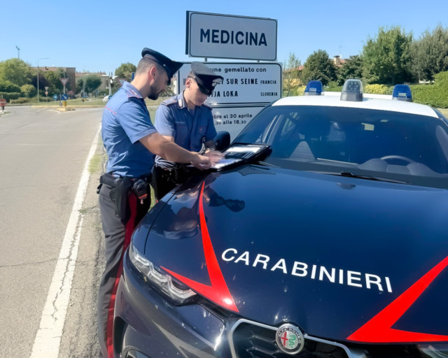 Giardiniere ferito in un incidente sul lavoro