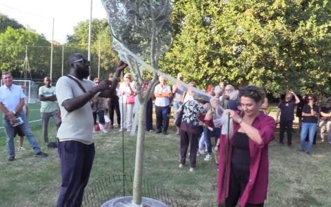 Un ulivo per Fallou Sall a due anni dall’omicidio