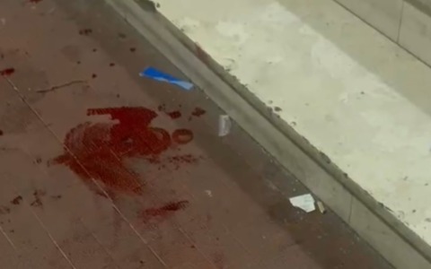 Rissa tra stranieri in zona Mascarella a Bologna