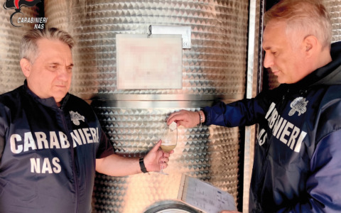 Cantine con muffe, uve marce e vini ‘fasulli’: maxisequestro dei Nas