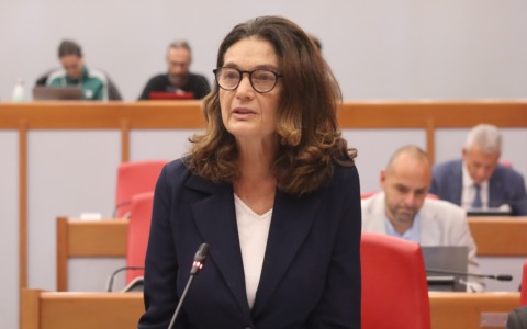 Catenacci per chiudere le scuole: la condanna della Ugolini e della Lega