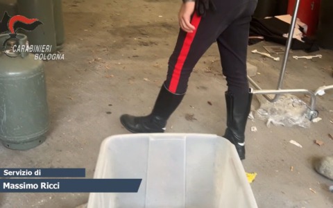 Anzola: opificio irregolare