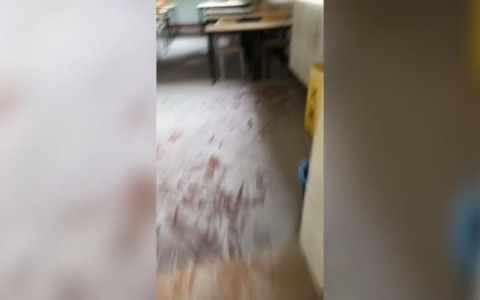 Laura Bassi, liceo occupato: nelle aule, svuotati alcuni estintori