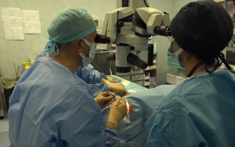 Policlinico Sant’Orsola: ecco la nuova ‘cornea ibrida’, metà umana e metà artificiale